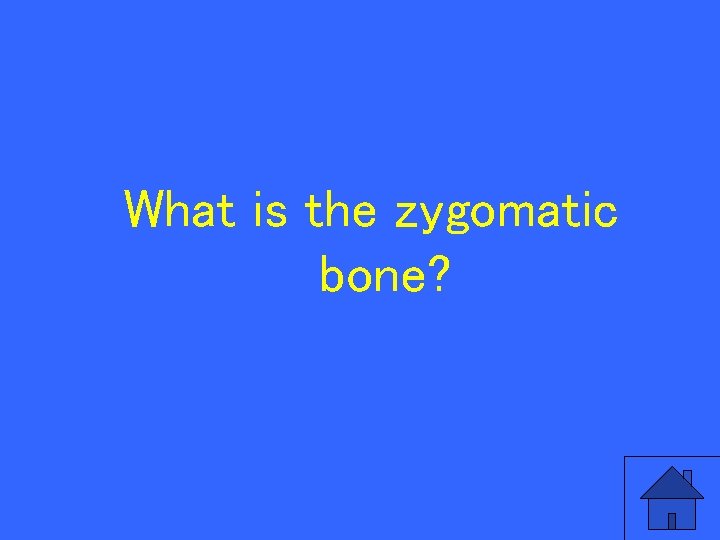 What is the zygomatic bone? 92 