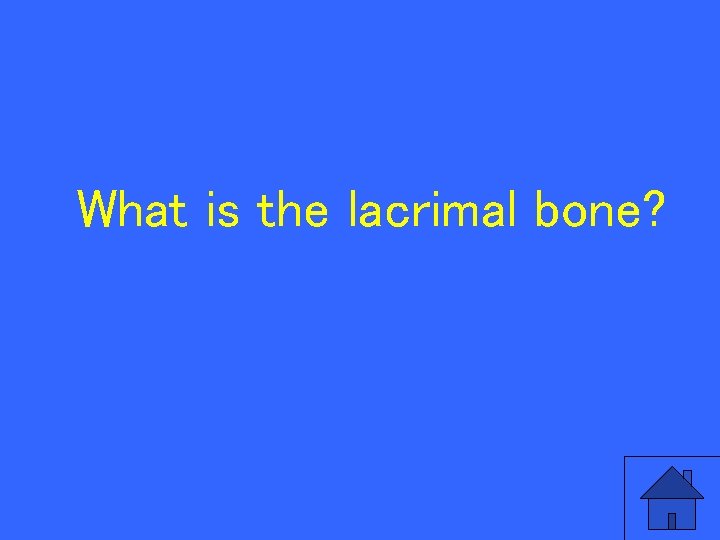 What is the lacrimal bone? 94 