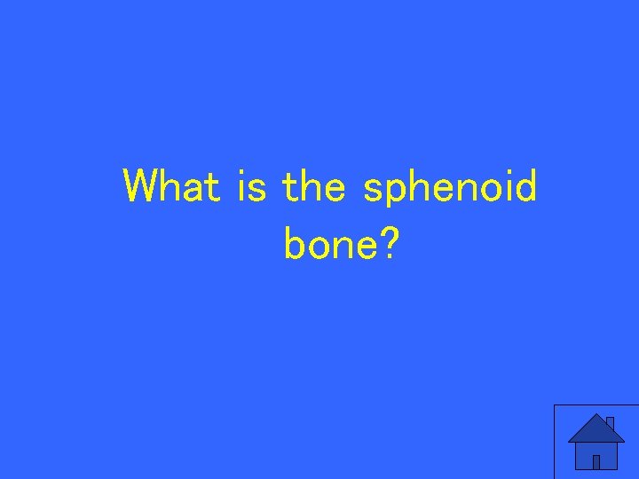 What is the sphenoid bone? 96 