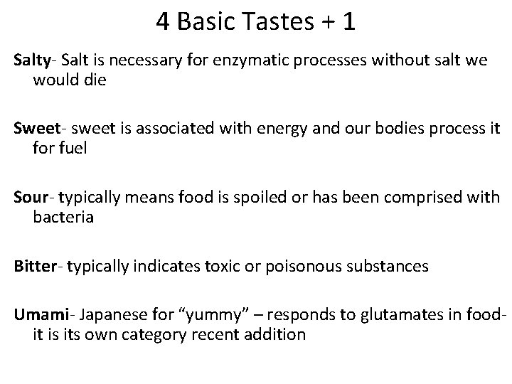 4 Basic Tastes + 1 Salty- Salt is necessary for enzymatic processes without salt