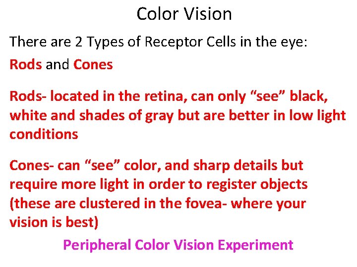 Color Vision There are 2 Types of Receptor Cells in the eye: Rods and