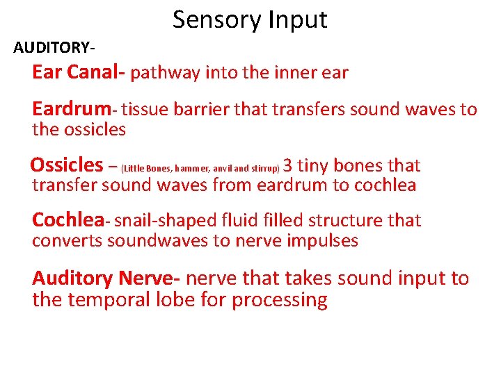 Sensory Input AUDITORY- Ear Canal- pathway into the inner ear Eardrum- tissue barrier that