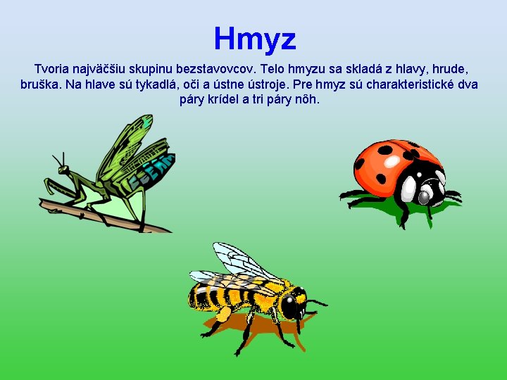 Hmyz Tvoria najväčšiu skupinu bezstavovcov. Telo hmyzu sa skladá z hlavy, hrude, bruška. Na
