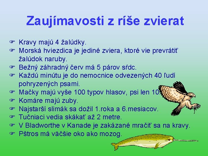 Zaujímavosti z ríše zvierat Kravy majú 4 žalúdky. Morská hviezdica je jediné zviera, ktoré