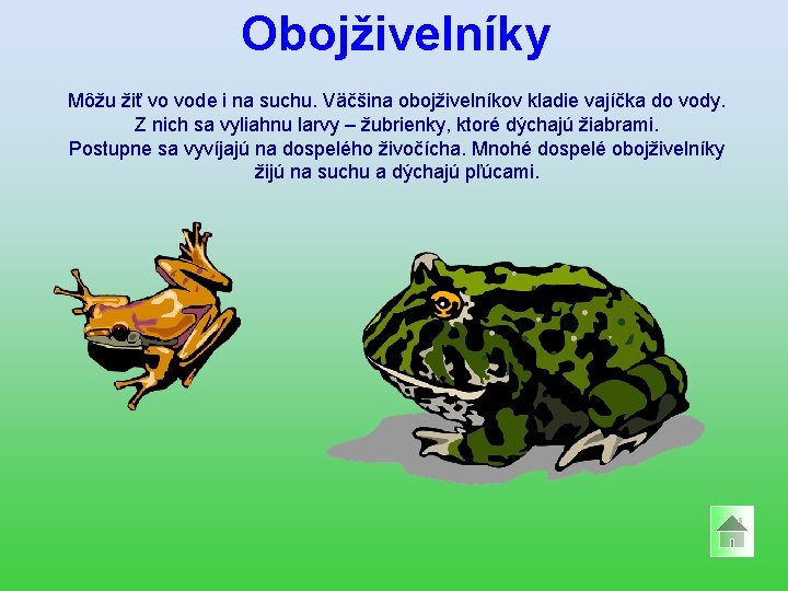 Obojživelníky Môžu žiť vo vode i na suchu. Väčšina obojživelníkov kladie vajíčka do vody.