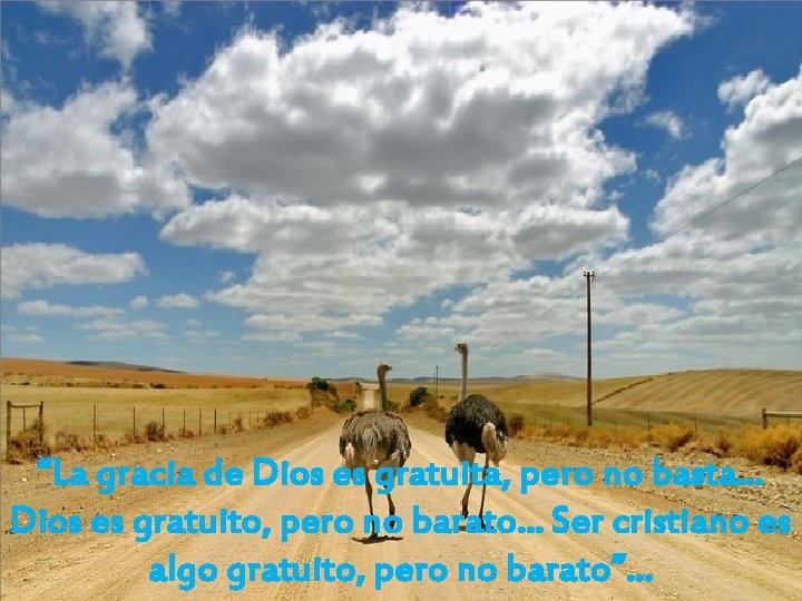 “La gracia de Dios es gratuita, pero no basta… Dios es gratuito, pero no