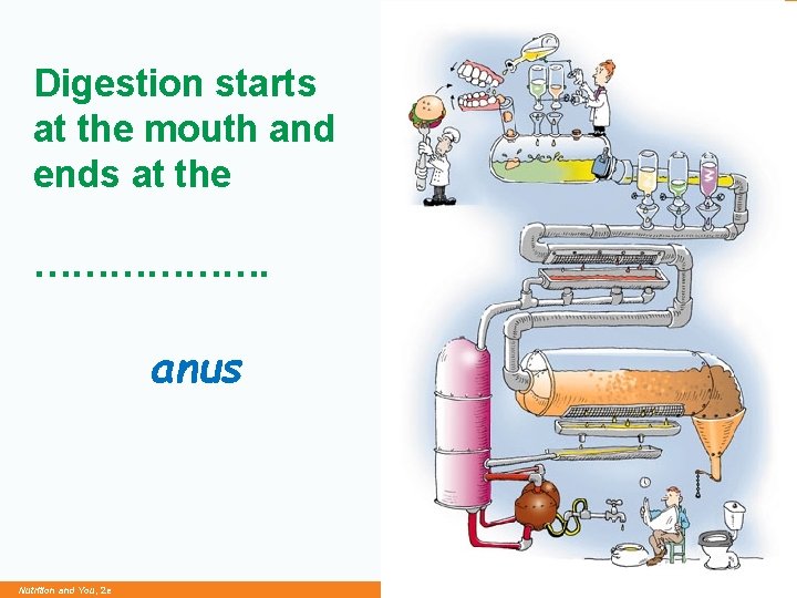 Digestion starts at the mouth and ends at the ………………. anus Nutrition and You,