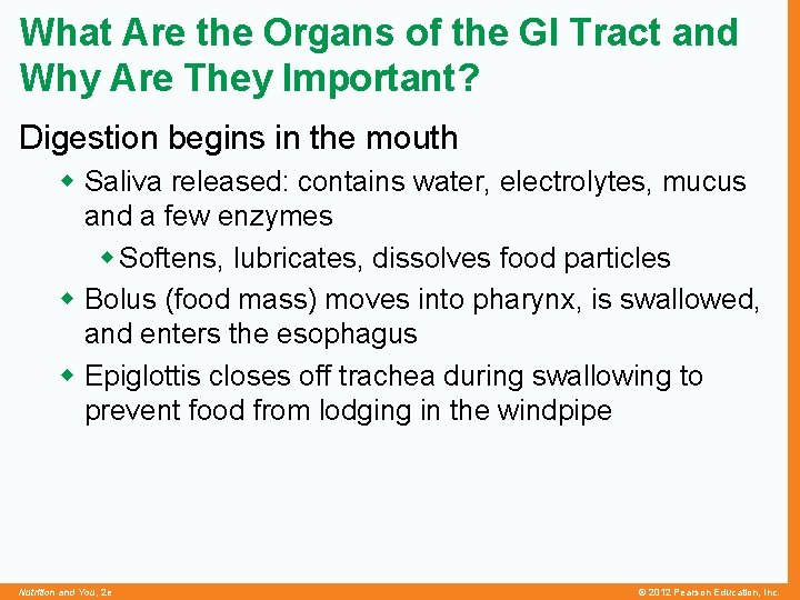 What Are the Organs of the GI Tract and Why Are They Important? Digestion