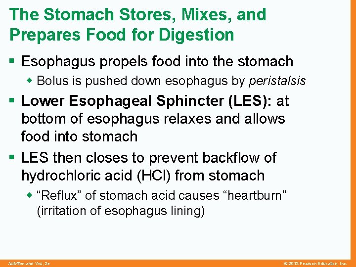 The Stomach Stores, Mixes, and Prepares Food for Digestion § Esophagus propels food into