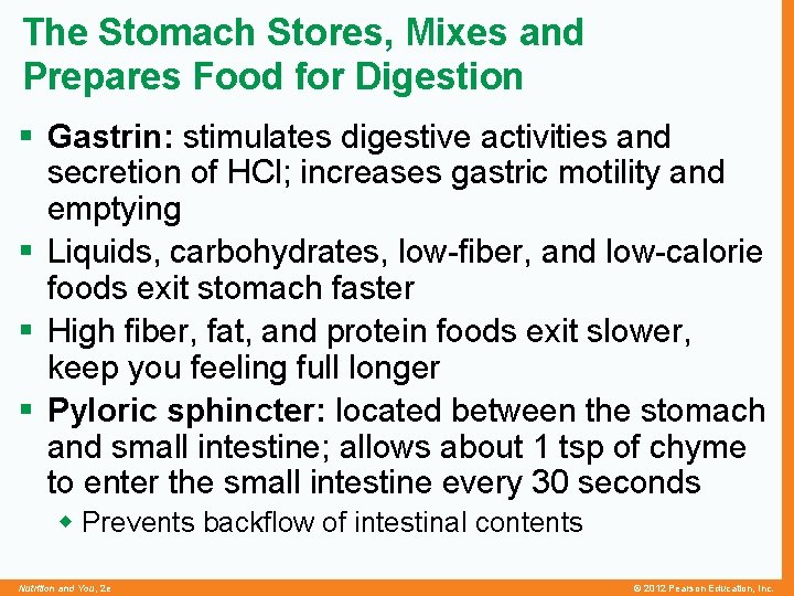 The Stomach Stores, Mixes and Prepares Food for Digestion § Gastrin: stimulates digestive activities