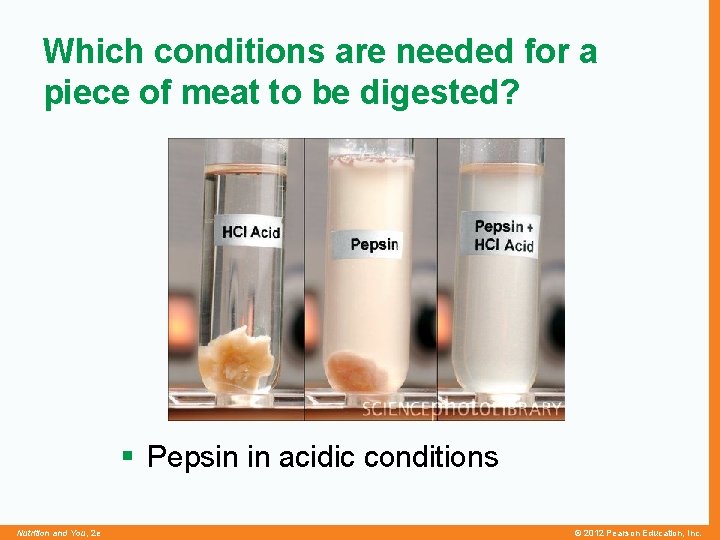 Which conditions are needed for a piece of meat to be digested? § Pepsin