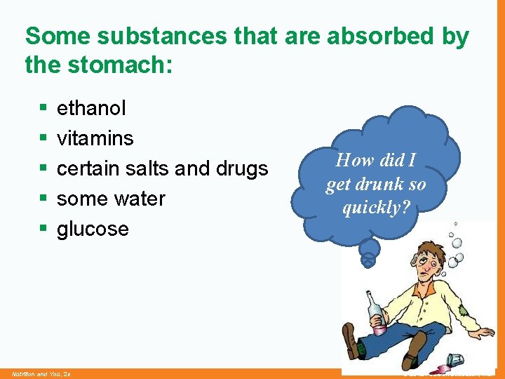 Some substances that are absorbed by the stomach: § § § ethanol vitamins certain
