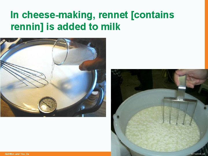 In cheese-making, rennet [contains rennin] is added to milk Nutrition and You, 2 e