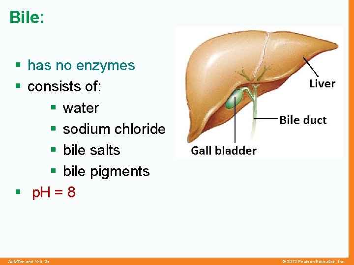Bile: § has no enzymes § consists of: § water § sodium chloride §