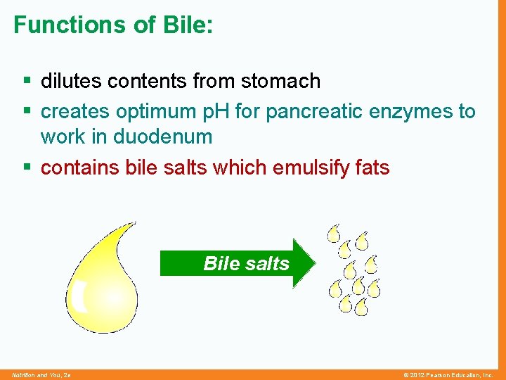 Functions of Bile: § dilutes contents from stomach § creates optimum p. H for