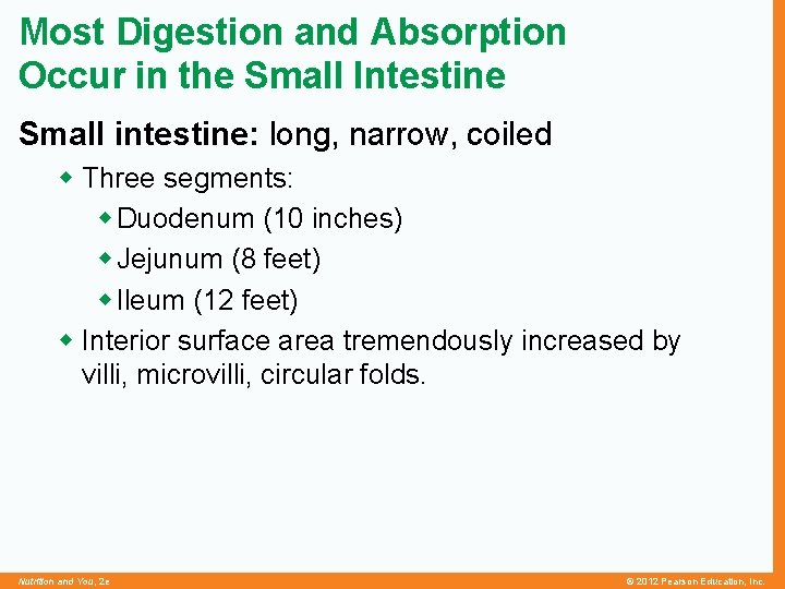 Most Digestion and Absorption Occur in the Small Intestine Small intestine: long, narrow, coiled