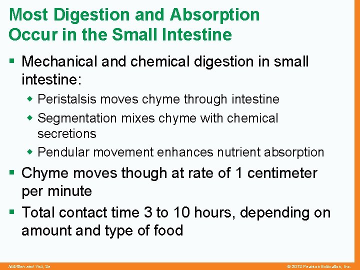 Most Digestion and Absorption Occur in the Small Intestine § Mechanical and chemical digestion