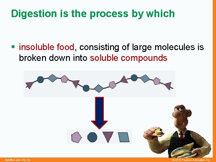 Digestion is the process by which § insoluble food, consisting of large molecules is