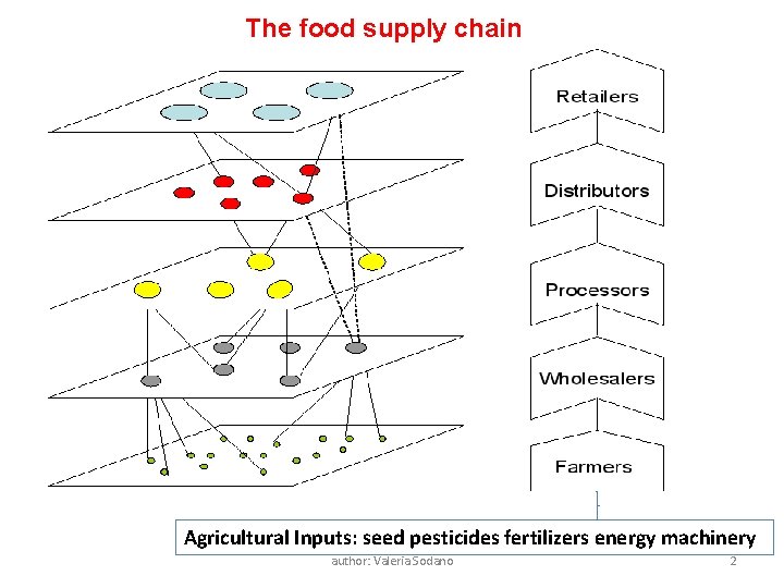The food supply chain Agricultural Inputs: seed pesticides fertilizers energy machinery author: Valeria Sodano