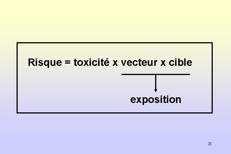 Risque = toxicité x vecteur x cible exposition 28 