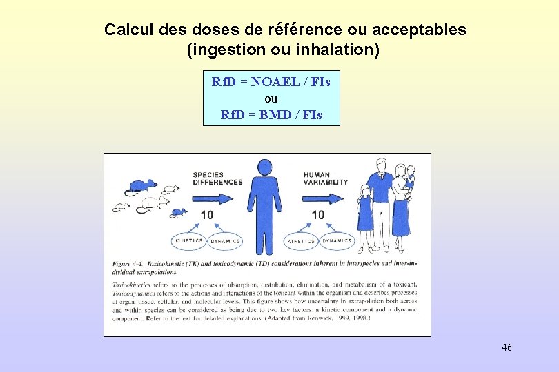 Calcul des doses de référence ou acceptables (ingestion ou inhalation) Rf. D = NOAEL