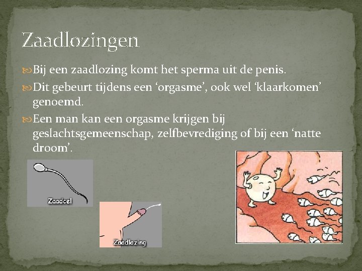 Zaadlozingen Bij een zaadlozing komt het sperma uit de penis. Dit gebeurt tijdens een