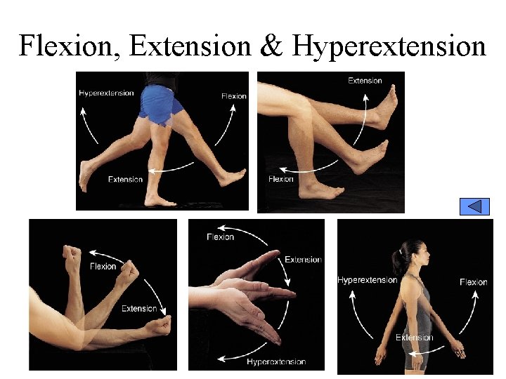 Flexion, Extension & Hyperextension 11 