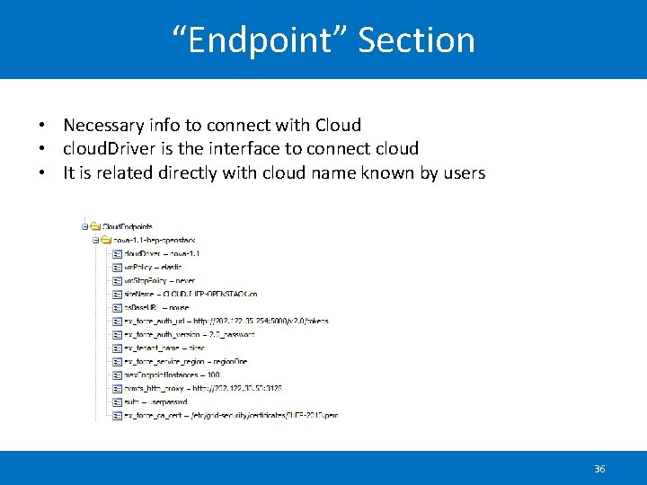 “Endpoint” Section • Necessary info to connect with Cloud • cloud. Driver is the