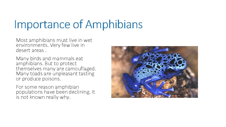 Importance of Amphibians Most amphibians must live in wet environments. Very few live in