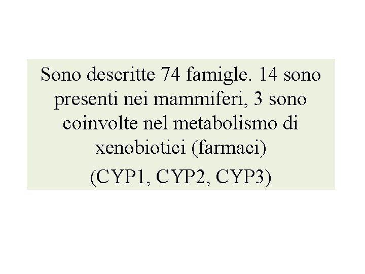 Sono descritte 74 famigle. 14 sono presenti nei mammiferi, 3 sono coinvolte nel metabolismo