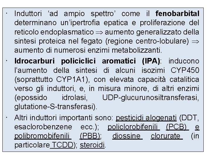  Induttori ‘ad ampio spettro’ come il fenobarbital determinano un’ipertrofia epatica e proliferazione del