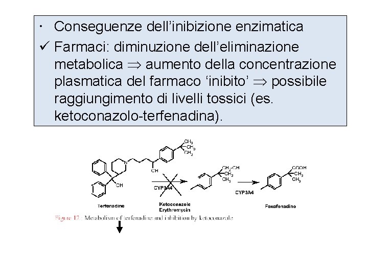  Conseguenze dell’inibizione enzimatica ü Farmaci: diminuzione dell’eliminazione metabolica aumento della concentrazione plasmatica del