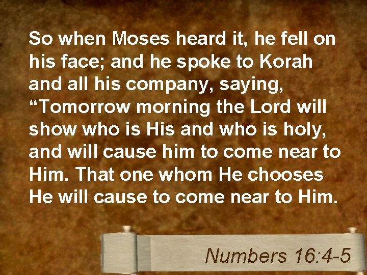 So when Moses heard it, he fell on his face; and he spoke to