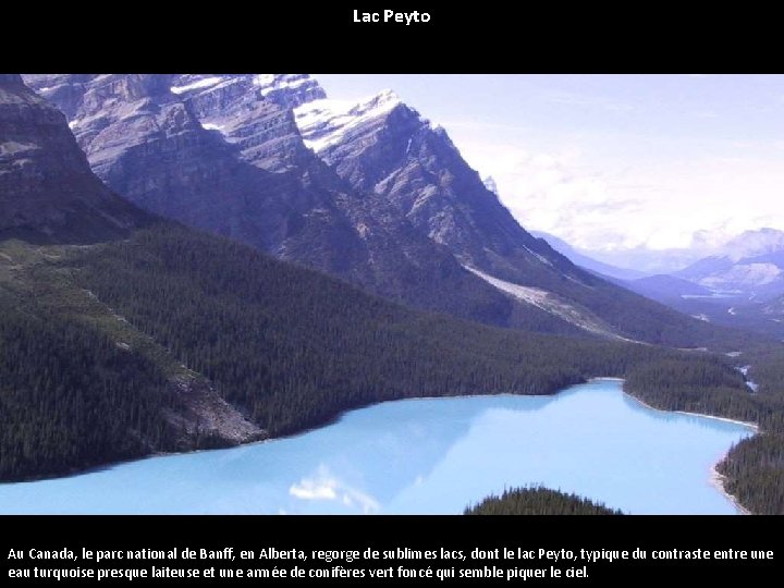 Lac Peyto Au Canada, le parc national de Banff, en Alberta, regorge de sublimes