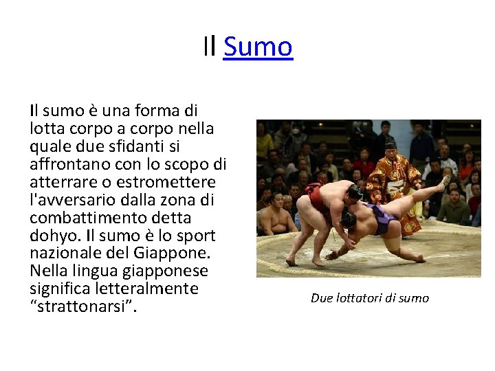 Il Sumo Il sumo è una forma di lotta corpo nella quale due sfidanti