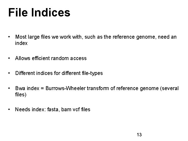 File Indices • Most large files we work with, such as the reference genome,