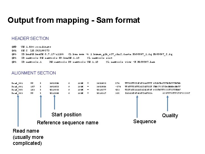 Output from mapping - Sam format HEADER SECTION @HD @SQ @PG @PG VN: 1.