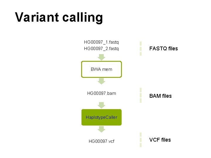 Variant calling HG 00097_1. fastq HG 00097_2. fastq FASTQ files BWA mem HG 00097.