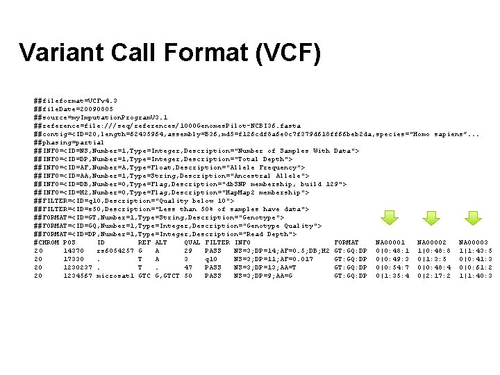 Variant Call Format (VCF) ##fileformat=VCFv 4. 3 ##file. Date=20090805 ##source=my. Imputation. Program. V 3.