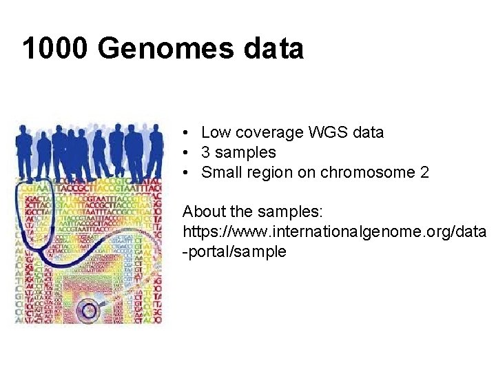 1000 Genomes data • Low coverage WGS data • 3 samples • Small region