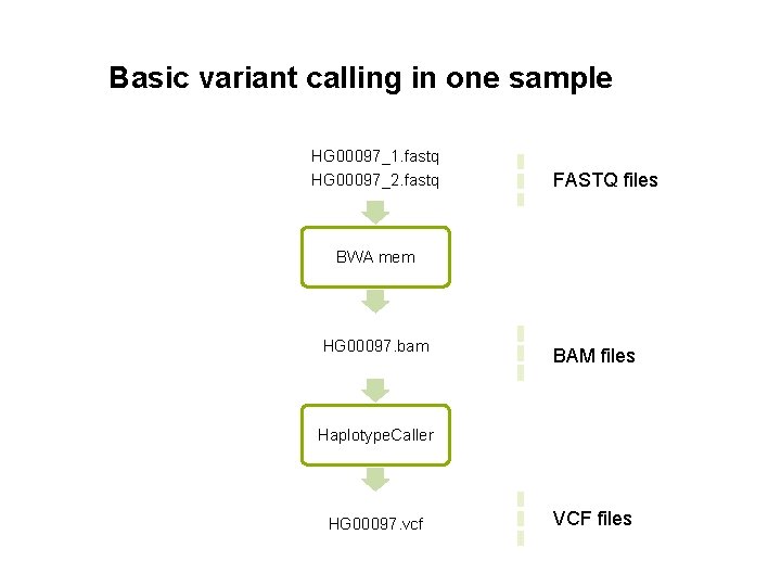Basic variant calling in one sample HG 00097_1. fastq HG 00097_2. fastq FASTQ files