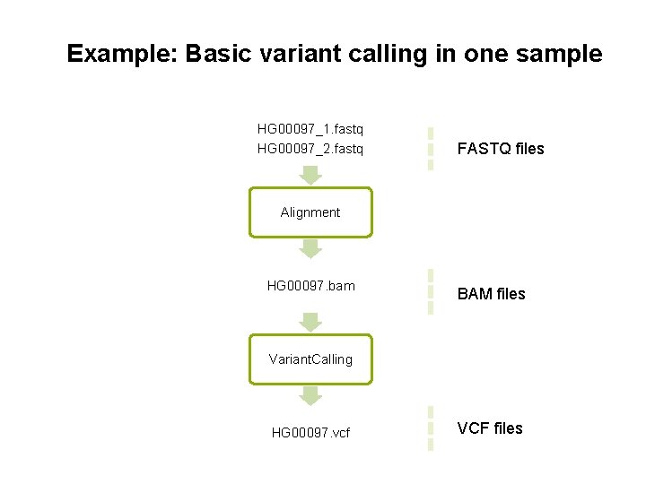 Example: Basic variant calling in one sample HG 00097_1. fastq HG 00097_2. fastq FASTQ