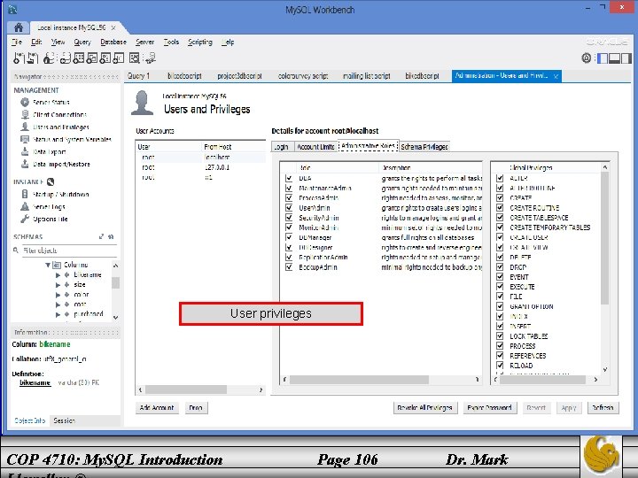 User privileges COP 4710: My. SQL Introduction Page 106 Dr. Mark 