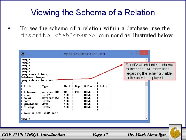 Viewing the Schema of a Relation • To see the schema of a relation