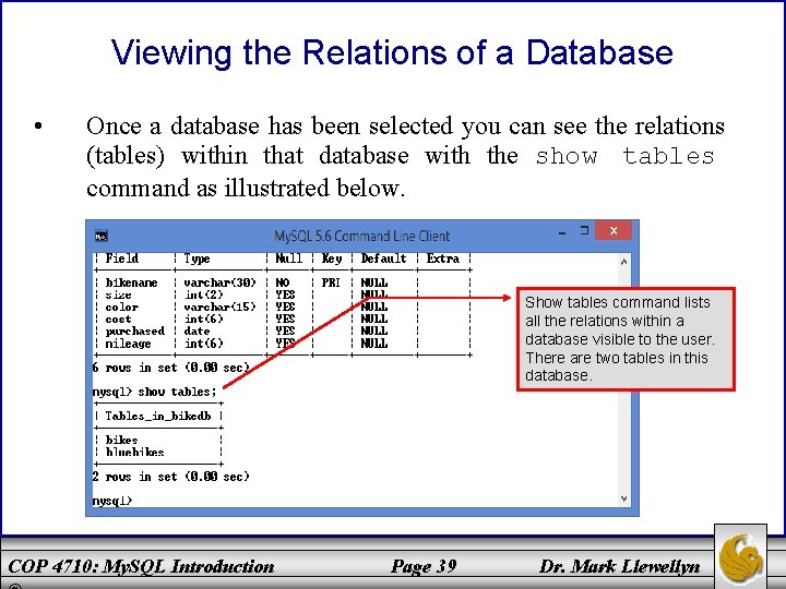 Viewing the Relations of a Database • Once a database has been selected you