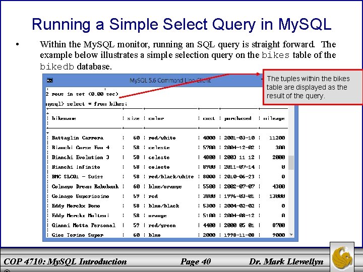 Running a Simple Select Query in My. SQL • Within the My. SQL monitor,