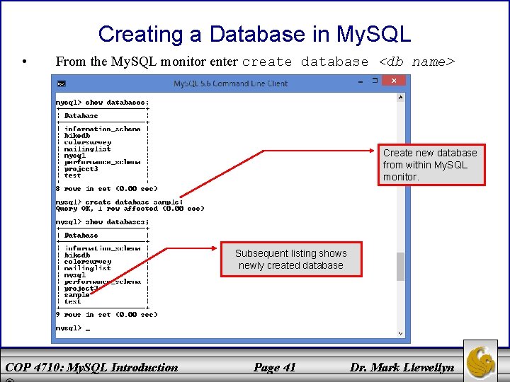 Creating a Database in My. SQL • From the My. SQL monitor enter create