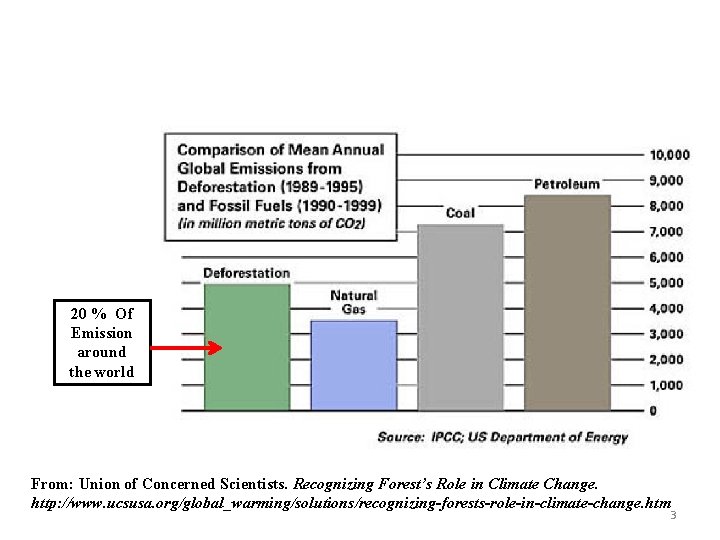 20 % Of Emission around the world From: Union of Concerned Scientists. Recognizing Forest’s