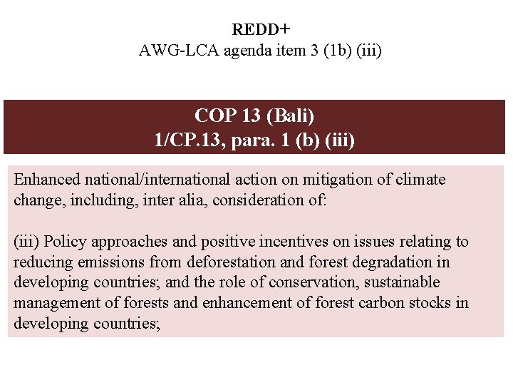 REDD+ AWG-LCA agenda item 3 (1 b) (iii) COP 13 (Bali) 1/CP. 13, para.