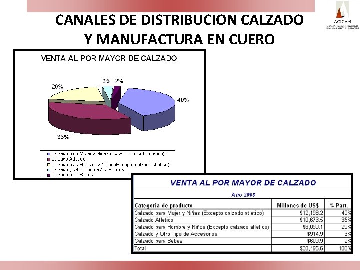 CANALES DE DISTRIBUCION CALZADO Y MANUFACTURA EN CUERO 